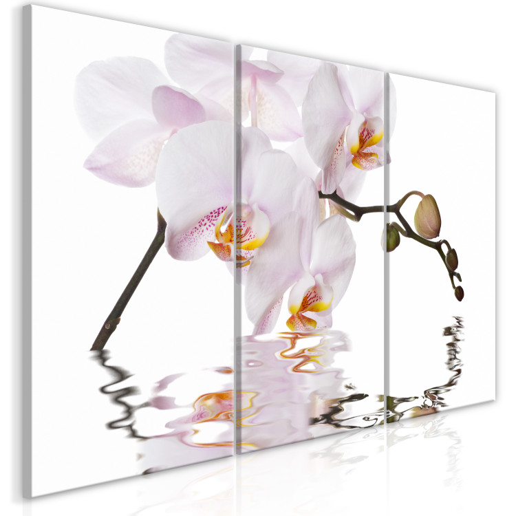 Canvas Pink orchid - triptych with blooming orchid flower on white background 123419 additionalImage 2