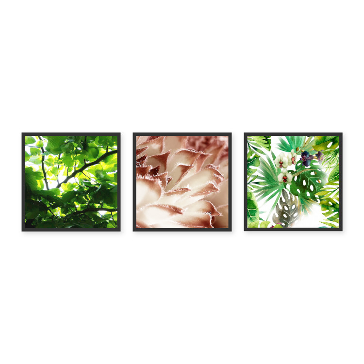 Gallery wall art Plant Details 124919 additionalImage 1