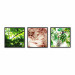 Gallery wall art Plant Details 124919 additionalThumb 1