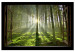 Canvas Print Dawn in the Forest (1 Part) Wide 125019