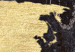 Canvas Print Golden World (1-part) wide - world map on a dark texture 128819 additionalThumb 4