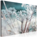 Canvas Art Print Autumn Hoarfrost (1-piece) Wide - frost landscape on plants 129819 additionalThumb 2