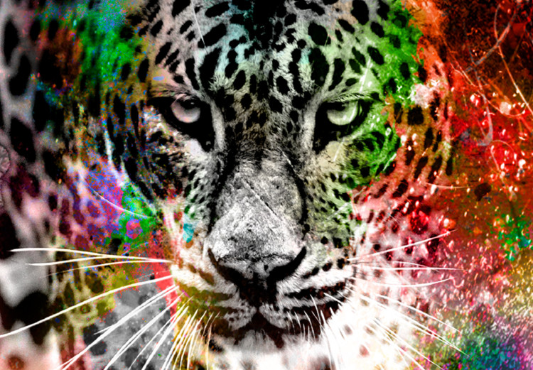 Large canvas print Colorful Cats II [Large Format] 131519 additionalImage 4
