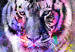 Large canvas print Colorful Cats II [Large Format] 131519 additionalThumb 3