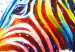 Canvas Art Print Zebra (1-piece) Wide - futuristic multi-colored animal 132019 additionalThumb 5