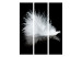 Room Divider Screen White Feather (3-piece) - white bird feather on a black background 132619 additionalThumb 3
