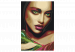 Paint by Number Kit Indian Beauty 135319 additionalThumb 4