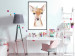 Wall Poster Little Deer - funny portrait of an animal on a white contrasting background 135719 additionalThumb 9