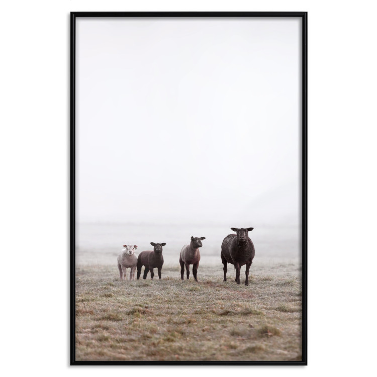 Poster Friends in the Morning - landscape of a field with animals against fog 137919 additionalImage 7