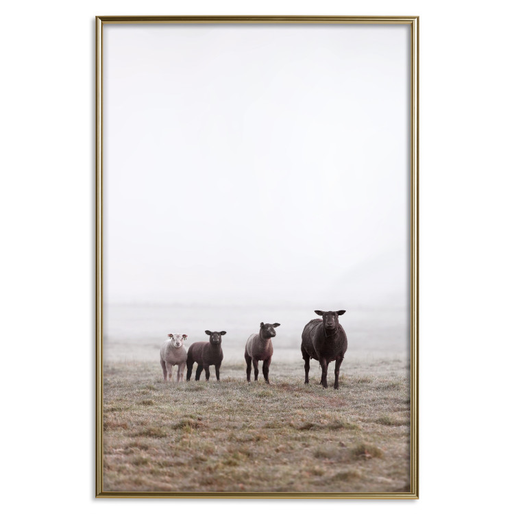 Poster Friends in the Morning - landscape of a field with animals against fog 137919 additionalImage 27