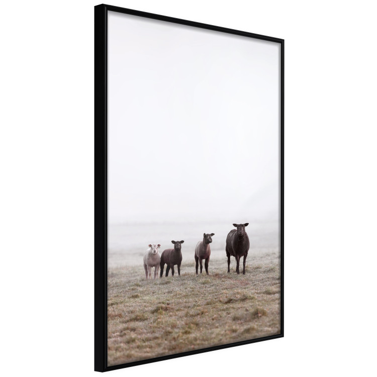 Poster Friends in the Morning - landscape of a field with animals against fog 137919 additionalImage 16