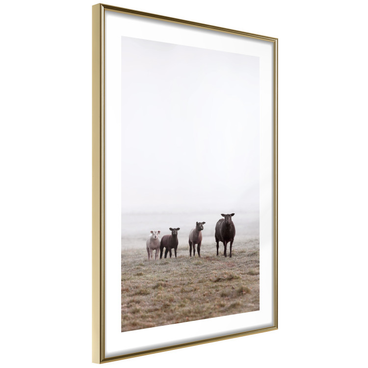 Poster Friends in the Morning - landscape of a field with animals against fog 137919 additionalImage 20