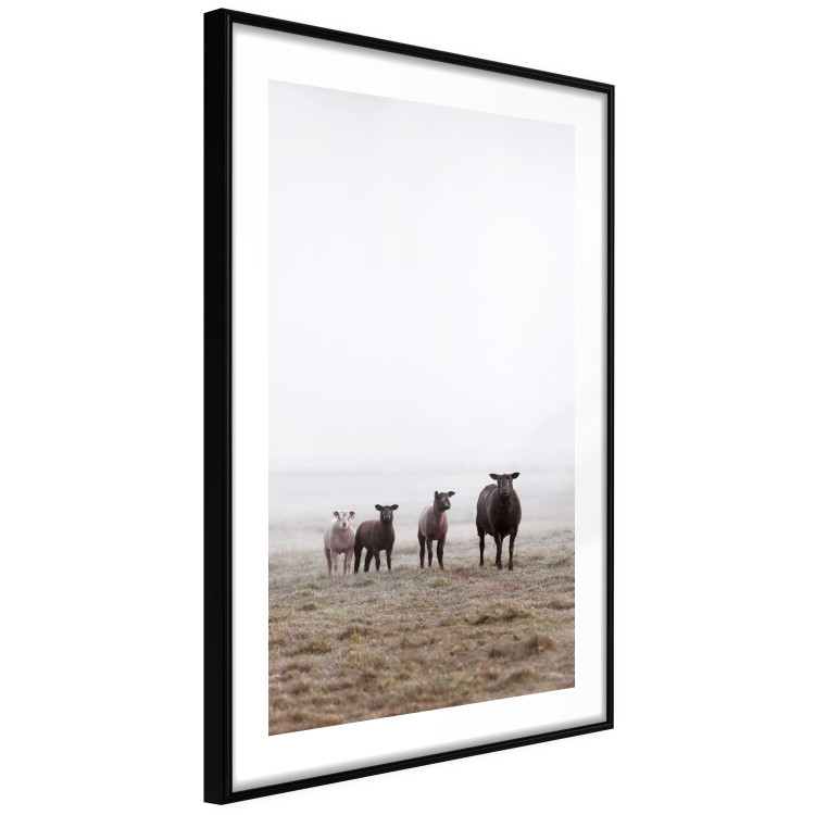Poster Friends in the Morning - landscape of a field with animals against fog 137919 additionalImage 21