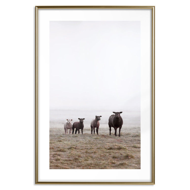 Poster Friends in the Morning - landscape of a field with animals against fog 137919 additionalImage 2