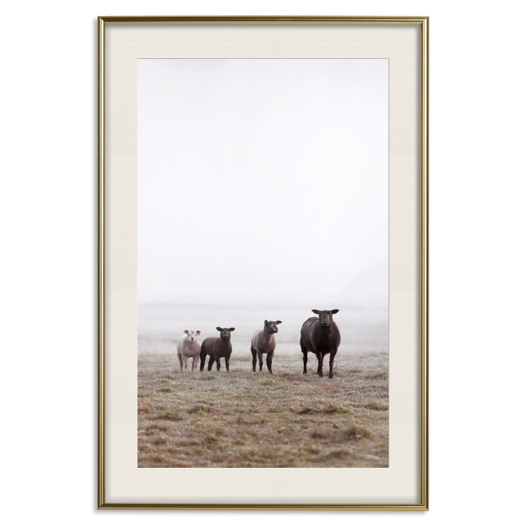 Poster Friends in the Morning - landscape of a field with animals against fog 137919 additionalImage 2