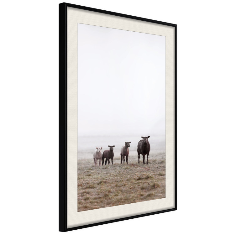 Poster Friends in the Morning - landscape of a field with animals against fog 137919 additionalImage 19