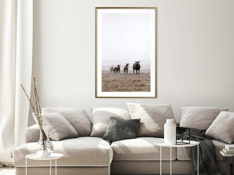 Poster Friends in the Morning - landscape of a field with animals against fog 137919 additionalImage 11