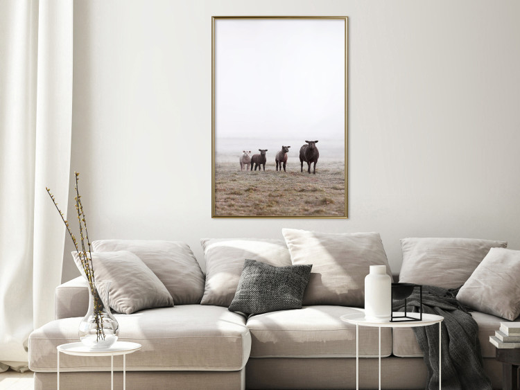 Poster Friends in the Morning - landscape of a field with animals against fog 137919 additionalImage 14