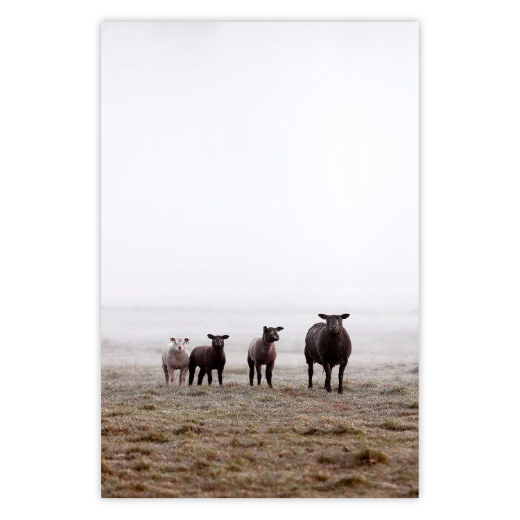 Poster Friends in the Morning - landscape of a field with animals against fog 137919