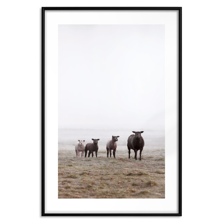Poster Friends in the Morning - landscape of a field with animals against fog 137919 additionalImage 5