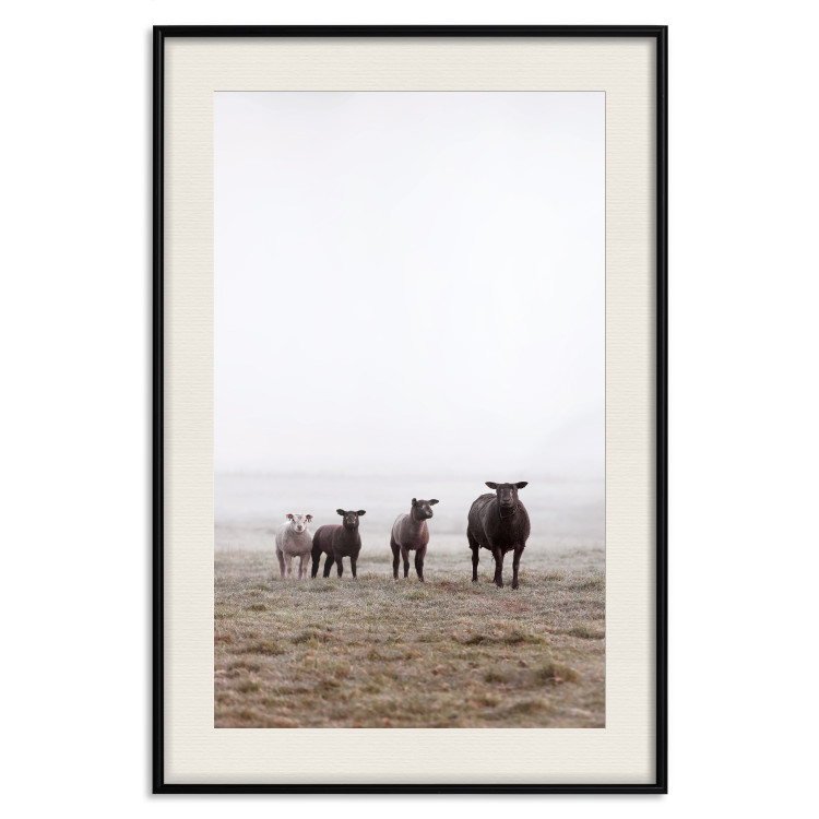 Poster Friends in the Morning - landscape of a field with animals against fog 137919 additionalImage 3