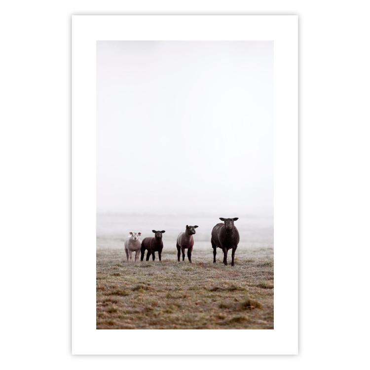 Poster Friends in the Morning - landscape of a field with animals against fog 137919 additionalImage 4