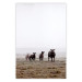 Poster Friends in the Morning - landscape of a field with animals against fog 137919