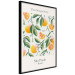 Poster The Orange Story - English text and orange fruits with leaves 138219 additionalThumb 11