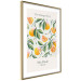 Poster The Orange Story - English text and orange fruits with leaves 138219 additionalThumb 4