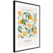 Poster The Orange Story - English text and orange fruits with leaves 138219 additionalThumb 5