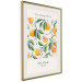 Poster The Orange Story - English text and orange fruits with leaves 138219 additionalThumb 6