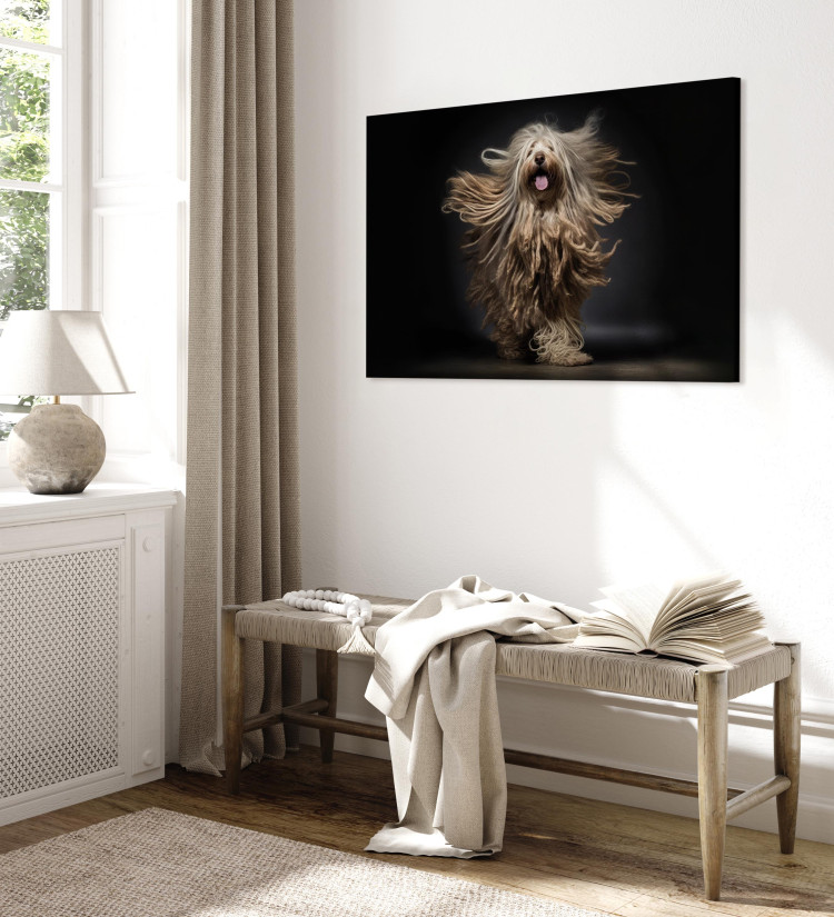 Canvas Art Print AI Bergamasco Dog - Happily Running Shaggy Animal - Horizontal 150219 additionalImage 4