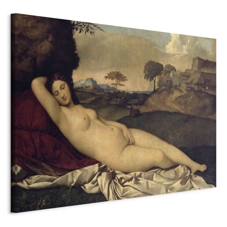 Reproduction Painting Venus Resting 153919 additionalImage 2