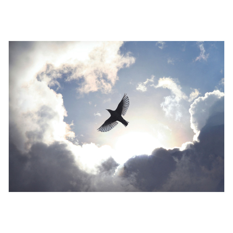 Photo Wallpaper Flying Bird - Flight Against the Sky With Clouds and Sunshine 159919 additionalImage 1