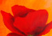 Canvas Art Print Charming poppies 47219 additionalThumb 2