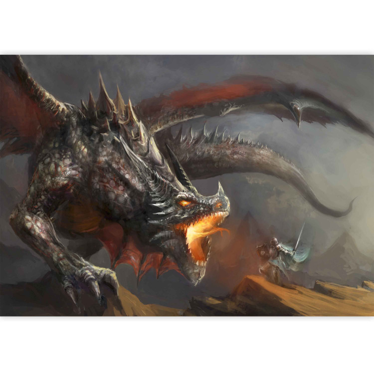 Photo Wallpaper Dragon fire 59719 additionalImage 4