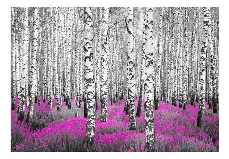 Photo Wallpaper Ruby Asylum - Abstract Forest Landscape with Birch Trees and an Accent 60519 additionalImage 1