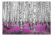 Photo Wallpaper Ruby Asylum - Abstract Forest Landscape with Birch Trees and an Accent 60519 additionalThumb 1