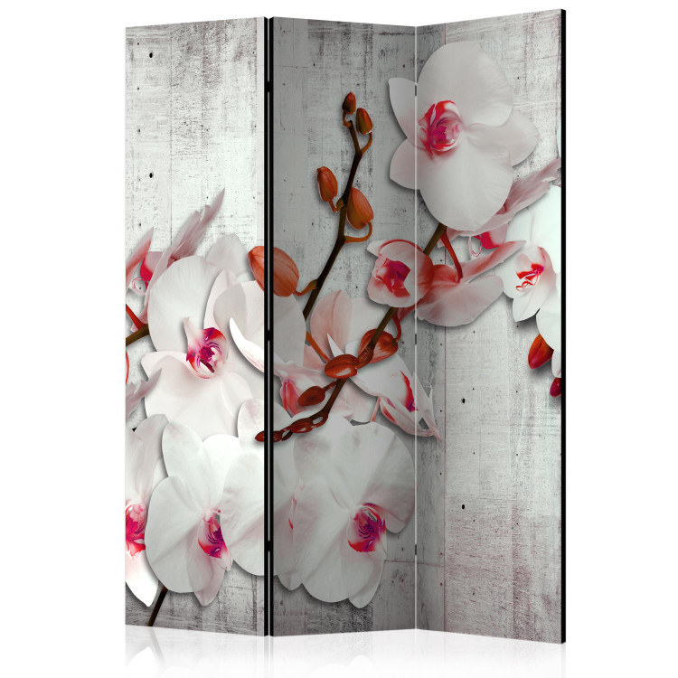 Room Divider Screen Concrete Orchid - white orchid flower on a concrete texture background 95319
