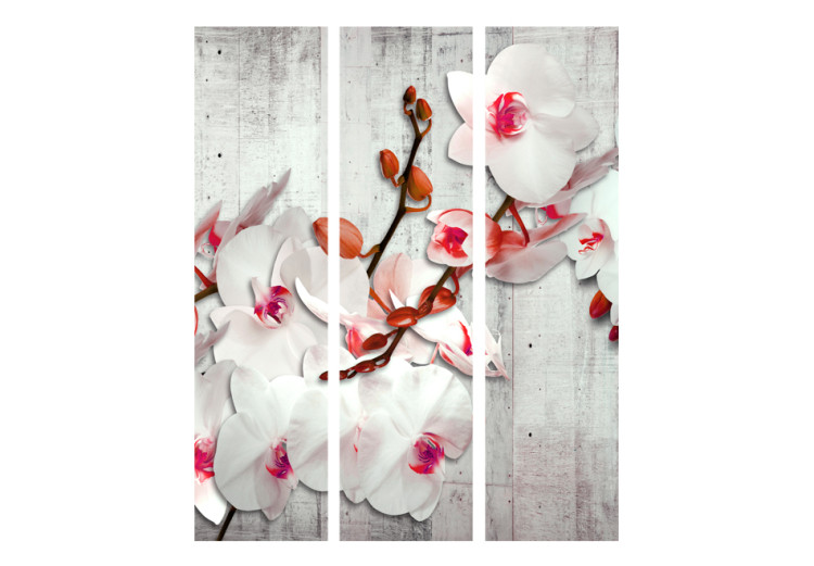 Room Divider Screen Concrete Orchid - white orchid flower on a concrete texture background 95319 additionalImage 3