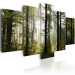 Canvas Green Light of Nature (5-part) - Nature's Glow in Forest Landscape 97519 additionalThumb 2
