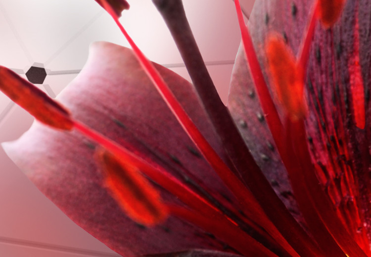 Canvas Flowers of Modernity - Red Lily on Abstract White Background 98019 additionalImage 5