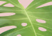 Poster Geometric monstera - abstract composition with tropical leaves 114329 additionalThumb 9