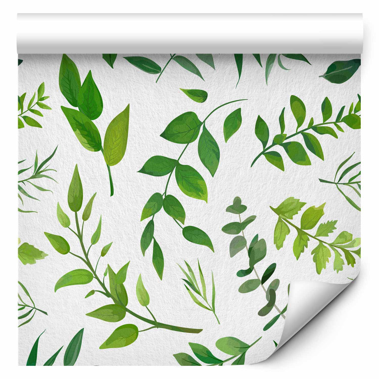 Modern Wallpaper Green Twigs 114929 additionalImage 6