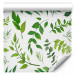 Modern Wallpaper Green Twigs 114929 additionalThumb 1