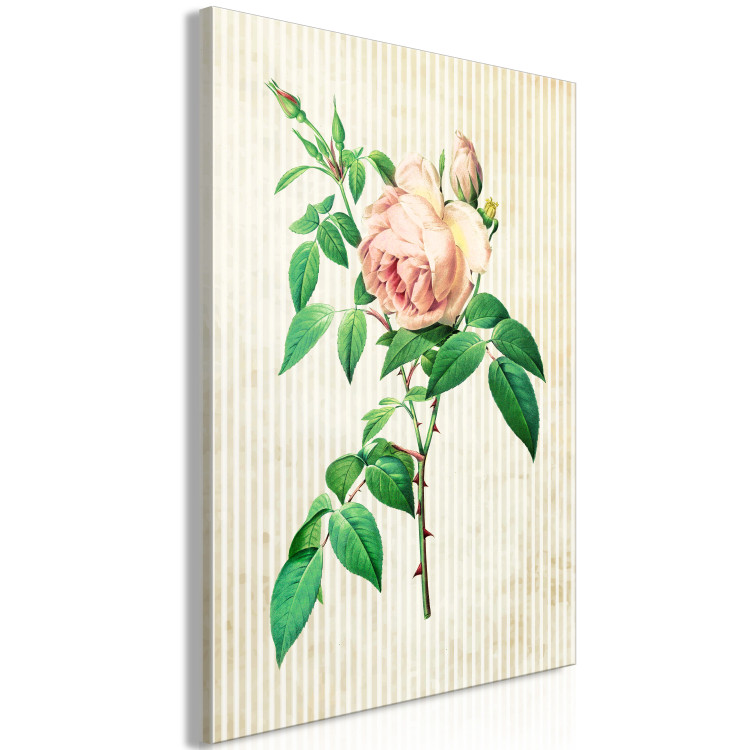 Canvas Delicate rose - thorny flower on a bright striped background 117329 additionalImage 2