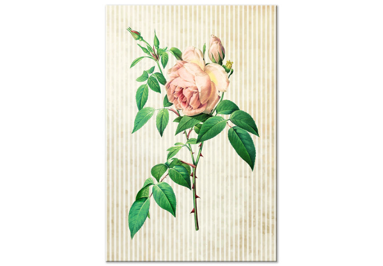 Canvas Delicate rose - thorny flower on a bright striped background 117329
