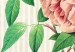 Canvas Delicate rose - thorny flower on a bright striped background 117329 additionalThumb 5