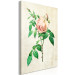 Canvas Delicate rose - thorny flower on a bright striped background 117329 additionalThumb 2