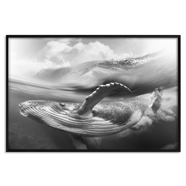 Wall Poster Black and White Whale - maritime landscape with a whale against waves 126829 additionalImage 18